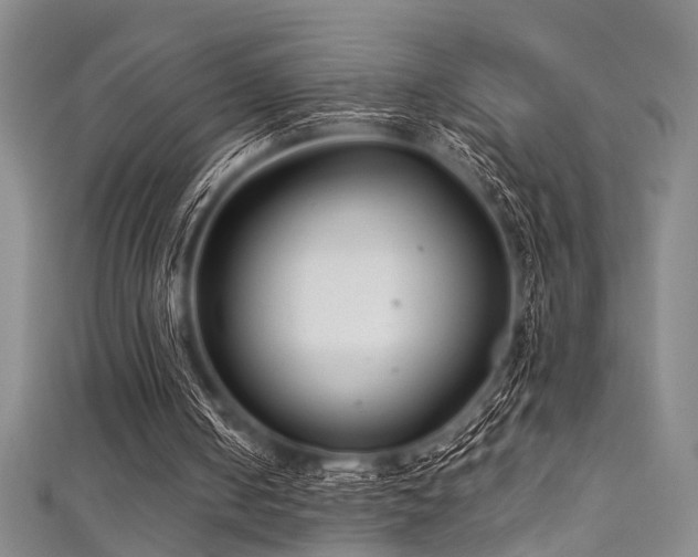 X0000111590050200907161502