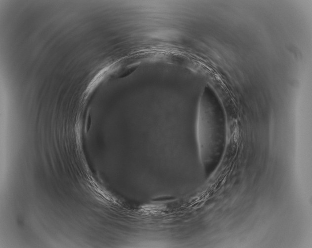 X0000111590051200907161502