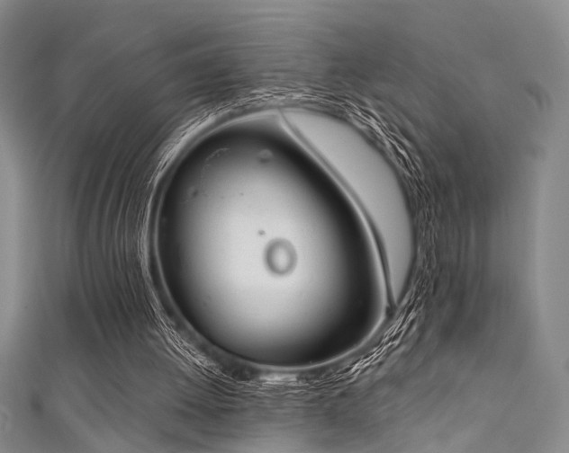 X0000111590052200907161502