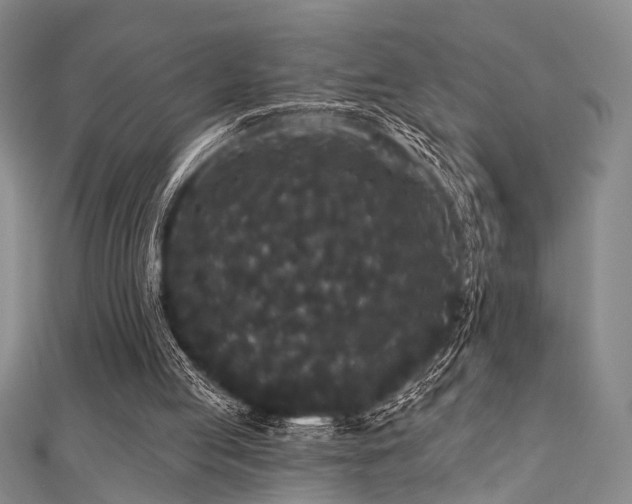 X0000111590053200907161502