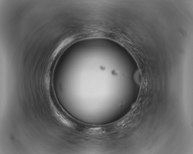 X0000111590054200907161502