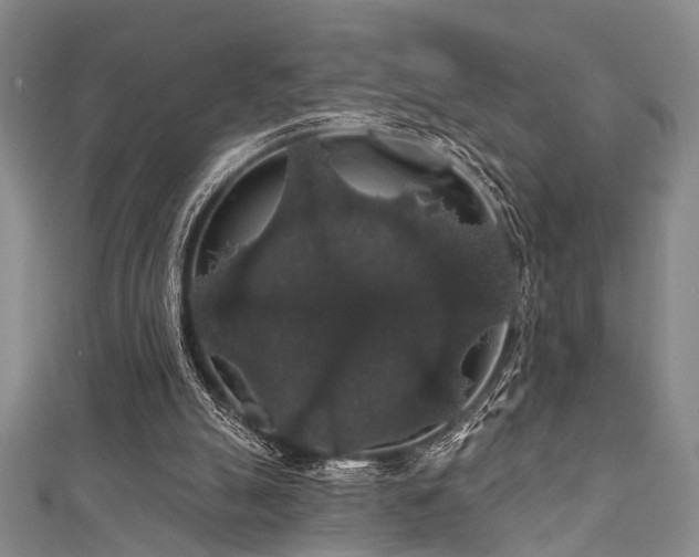 X0000111590055200907161502