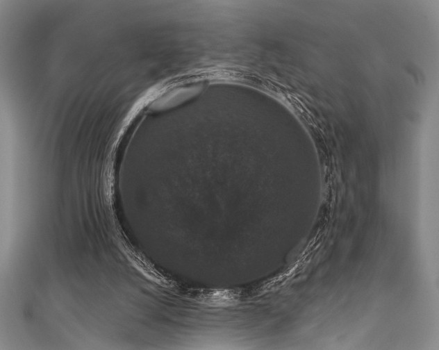 X0000111590056200907161502