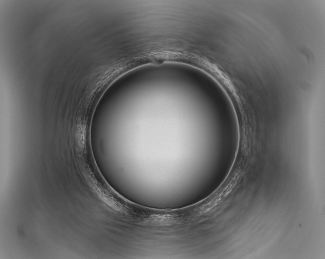 X0000111590057200907161502