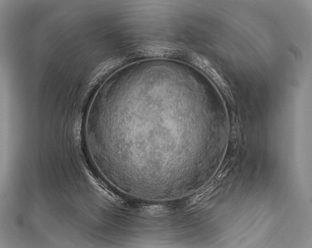 X0000111590058200907161502