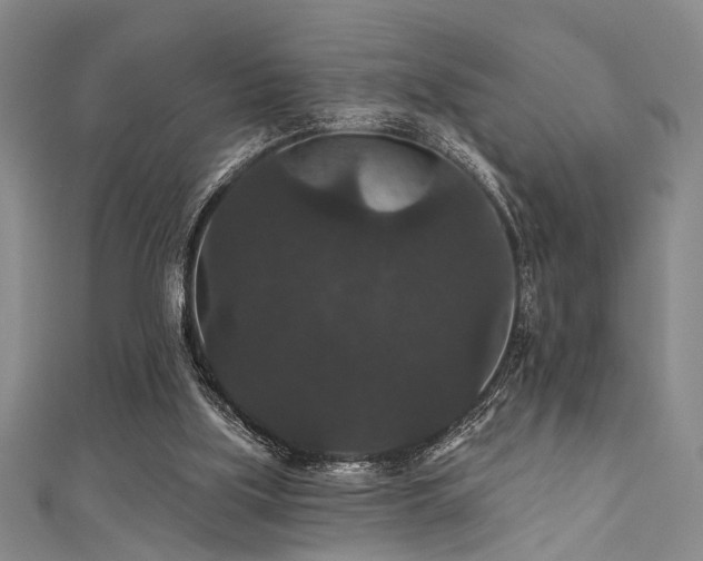 X0000111590059200907161502