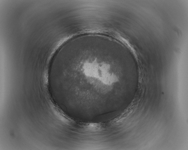 X0000111590060200907161502