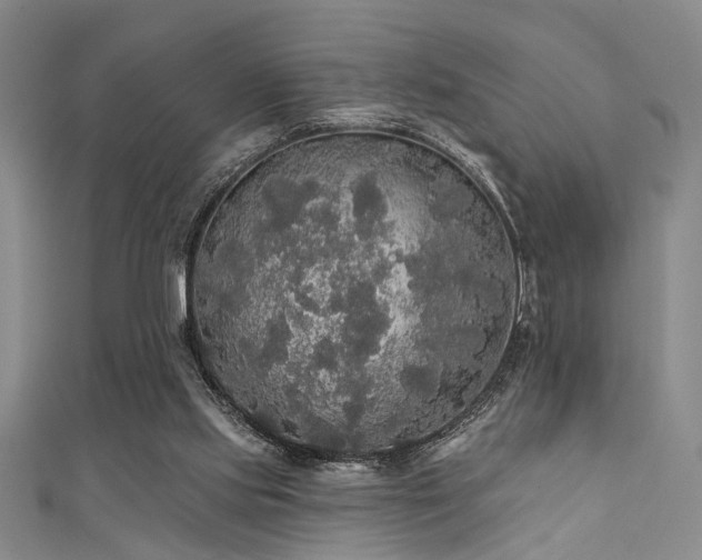 X0000111590061200907161502