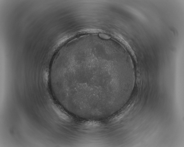 X0000111590063200907161502