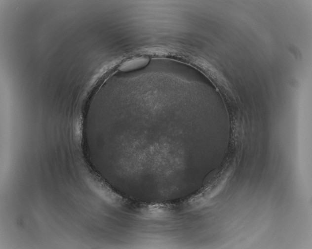 X0000111590064200907161502