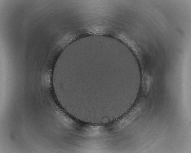 X0000111590065200907161502