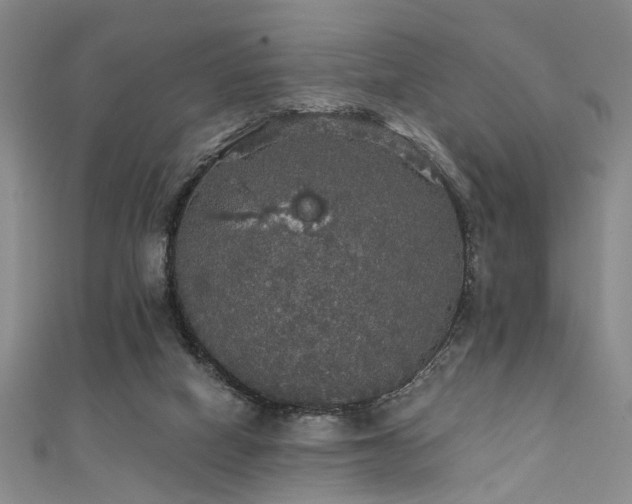 X0000111590066200907161502