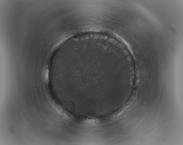 X0000111590067200907161502