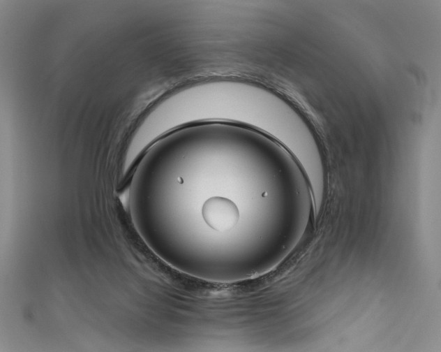 X0000111590068200907161502