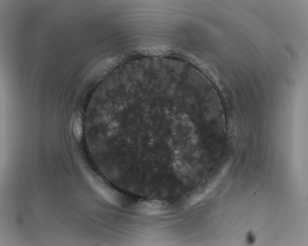 X0000111590069200907161502