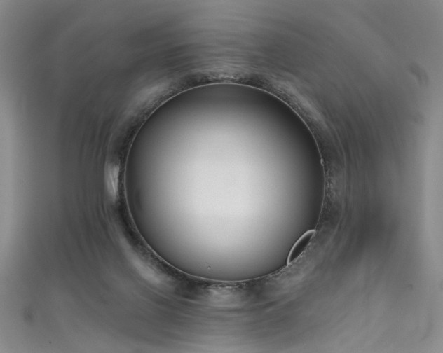 X0000111590070200907161502