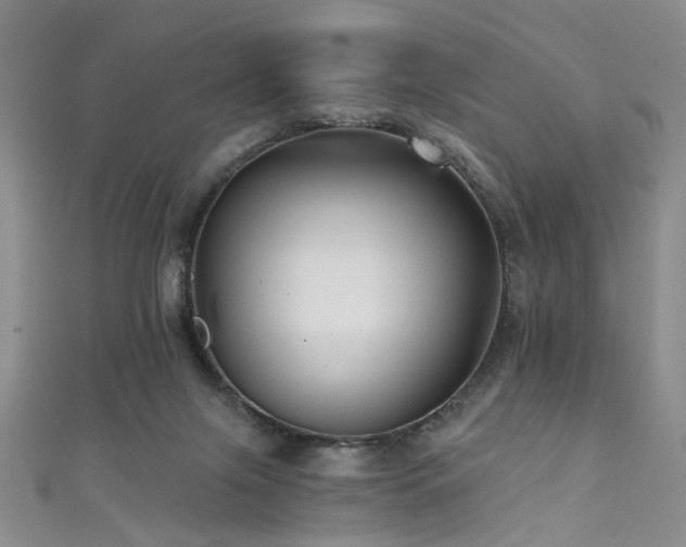 X0000111590071200907161502