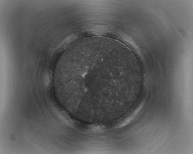 X0000111590073200907161502