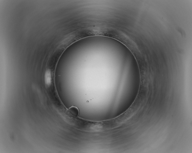 X0000111590075200907161502