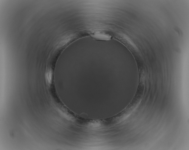 X0000111590076200907161502