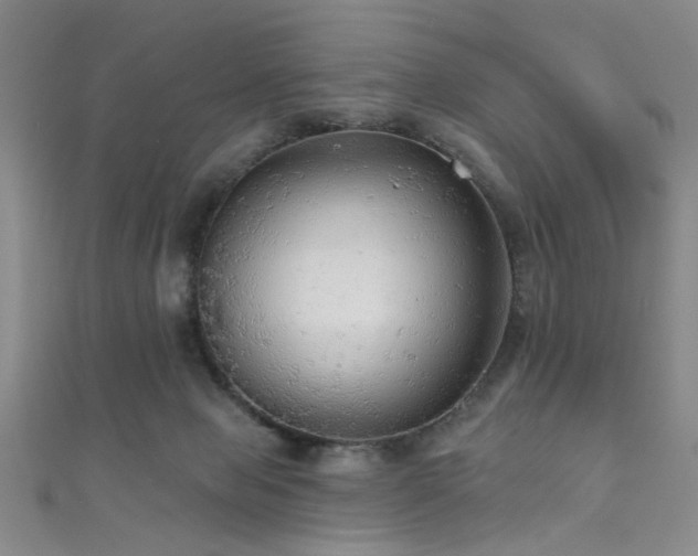 X0000111590077200907161502