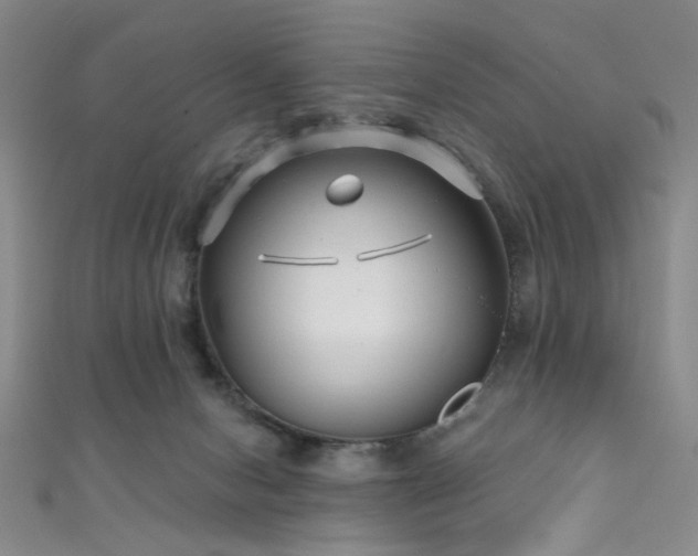 X0000111590078200907161502