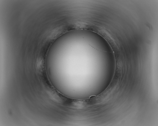 X0000111590079200907161502