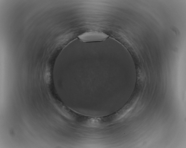 X0000111590080200907161502