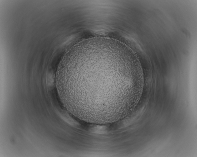 X0000111590081200907161502