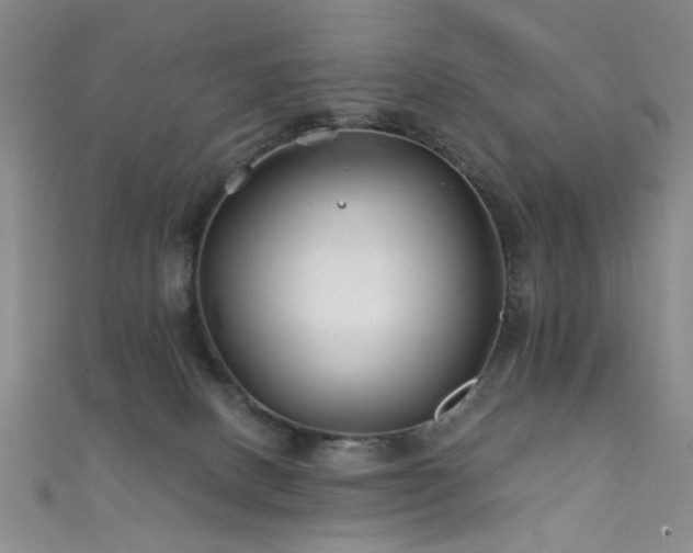 X0000111590082200907161502