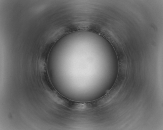 X0000111590083200907161502