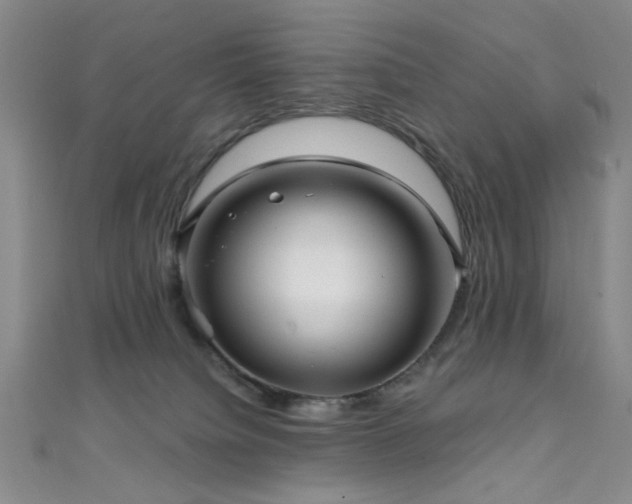 X0000111590084200907161502