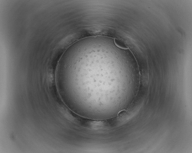 X0000111590085200907161502