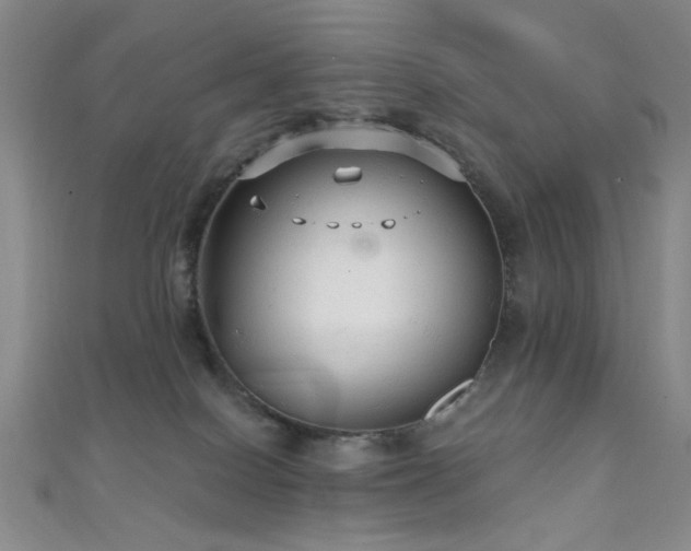 X0000111590086200907161502