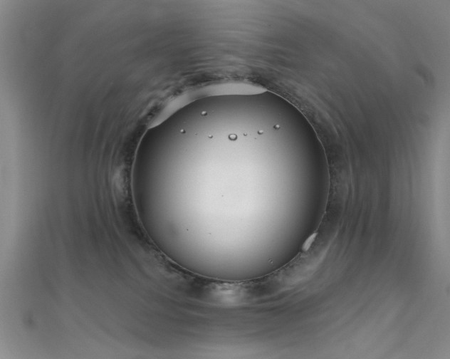 X0000111590088200907161502