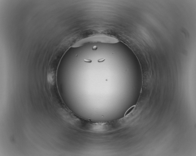 X0000111590090200907161502