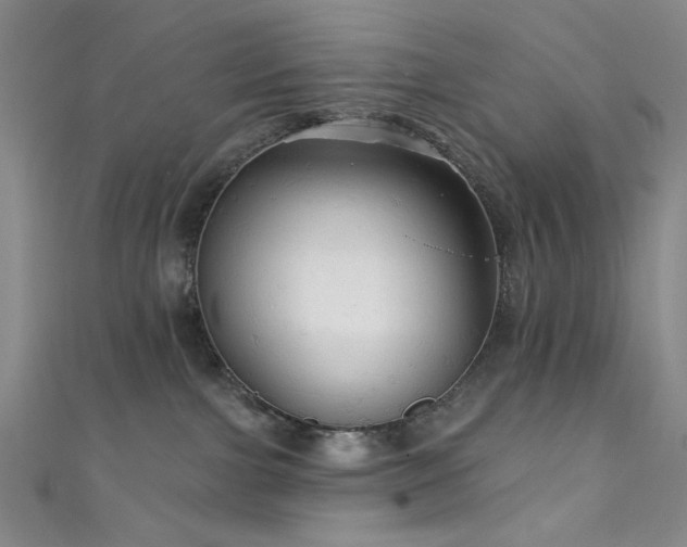 X0000111590091200907161502