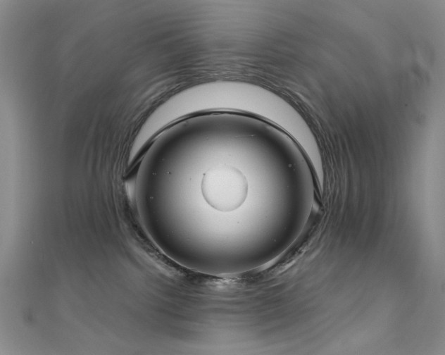 X0000111590092200907161502