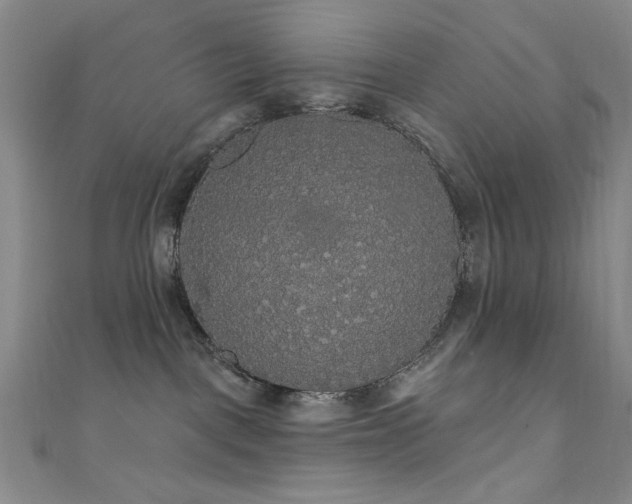 X0000111590093200907161502