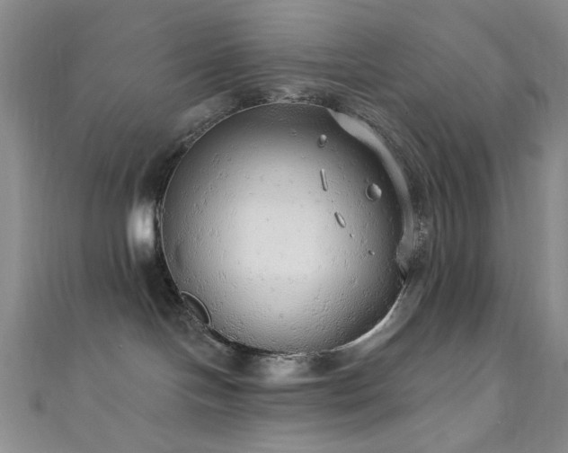 X0000111590094200907161502