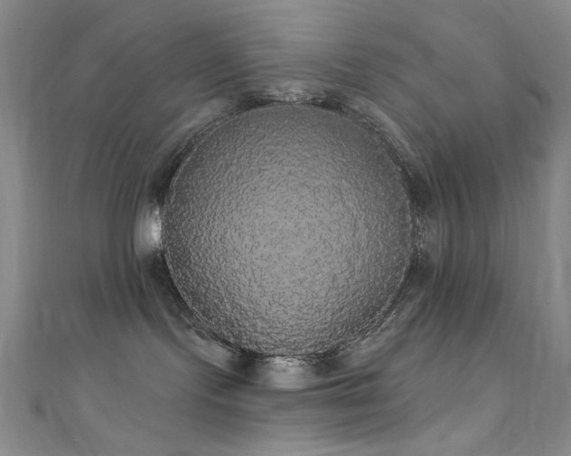 X0000111590095200907161502