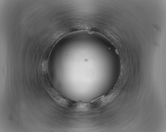 X0000111590096200907161502