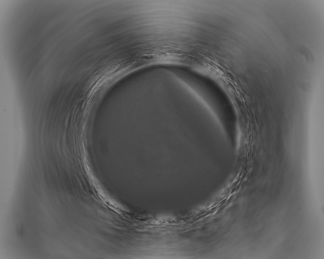 X0000111590097200907161502