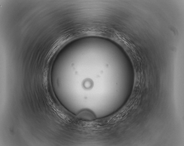 X0000111590098200907161502