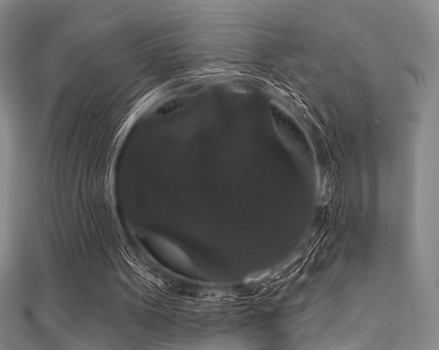 X0000111590099200907161502