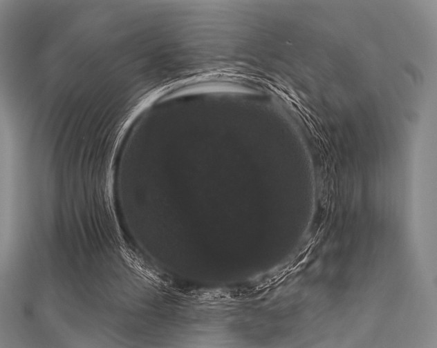 X0000111590100200907161502