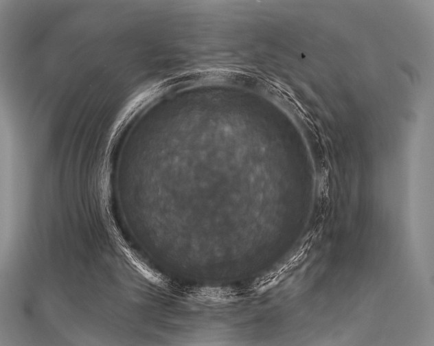 X0000111590101200907161502