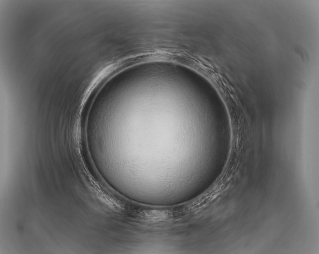 X0000111590102200907161502