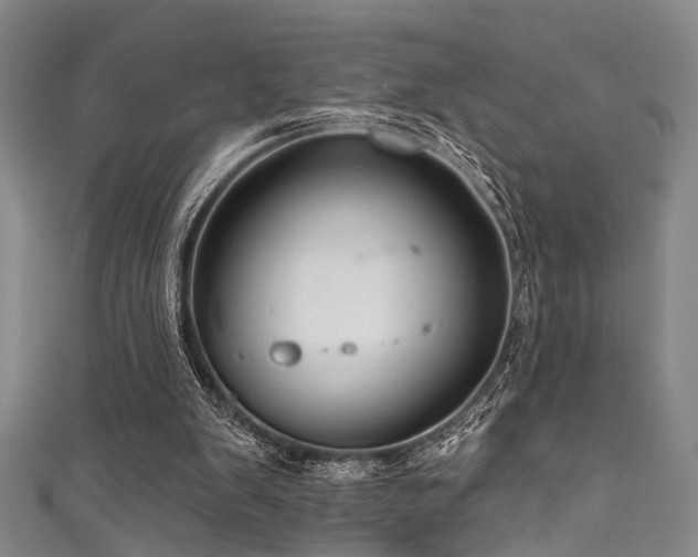 X0000111590103200907161502