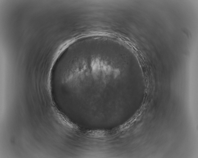 X0000111590104200907161502